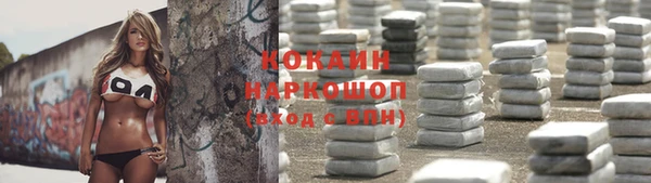 СК Няндома