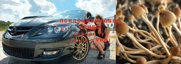 эйфоретик Нязепетровск