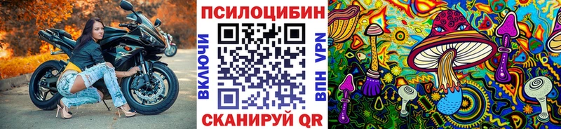 дарк нет официальный сайт  Красный Кут  Псилоцибиновые грибы Psilocybe 